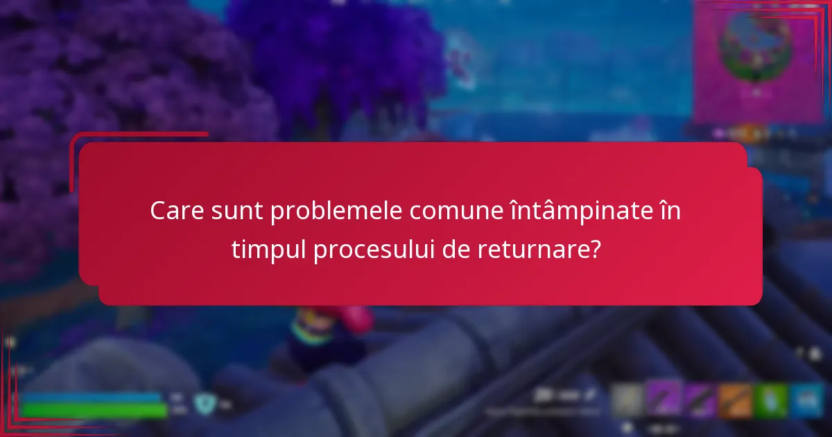 Care sunt problemele comune întâmpinate în timpul procesului de returnare?